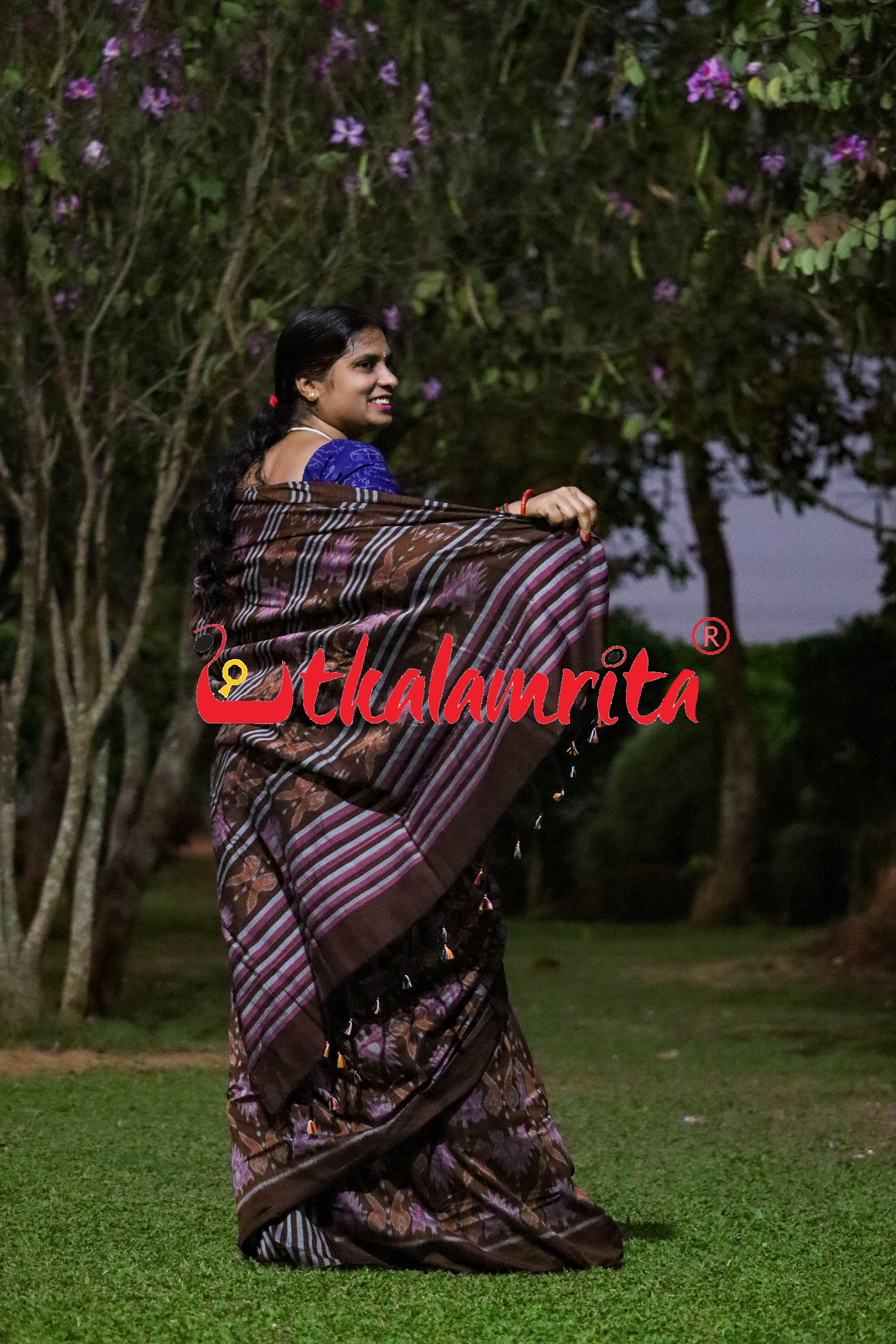 Coffee Jodi Sankha Khandua Cotton Saree