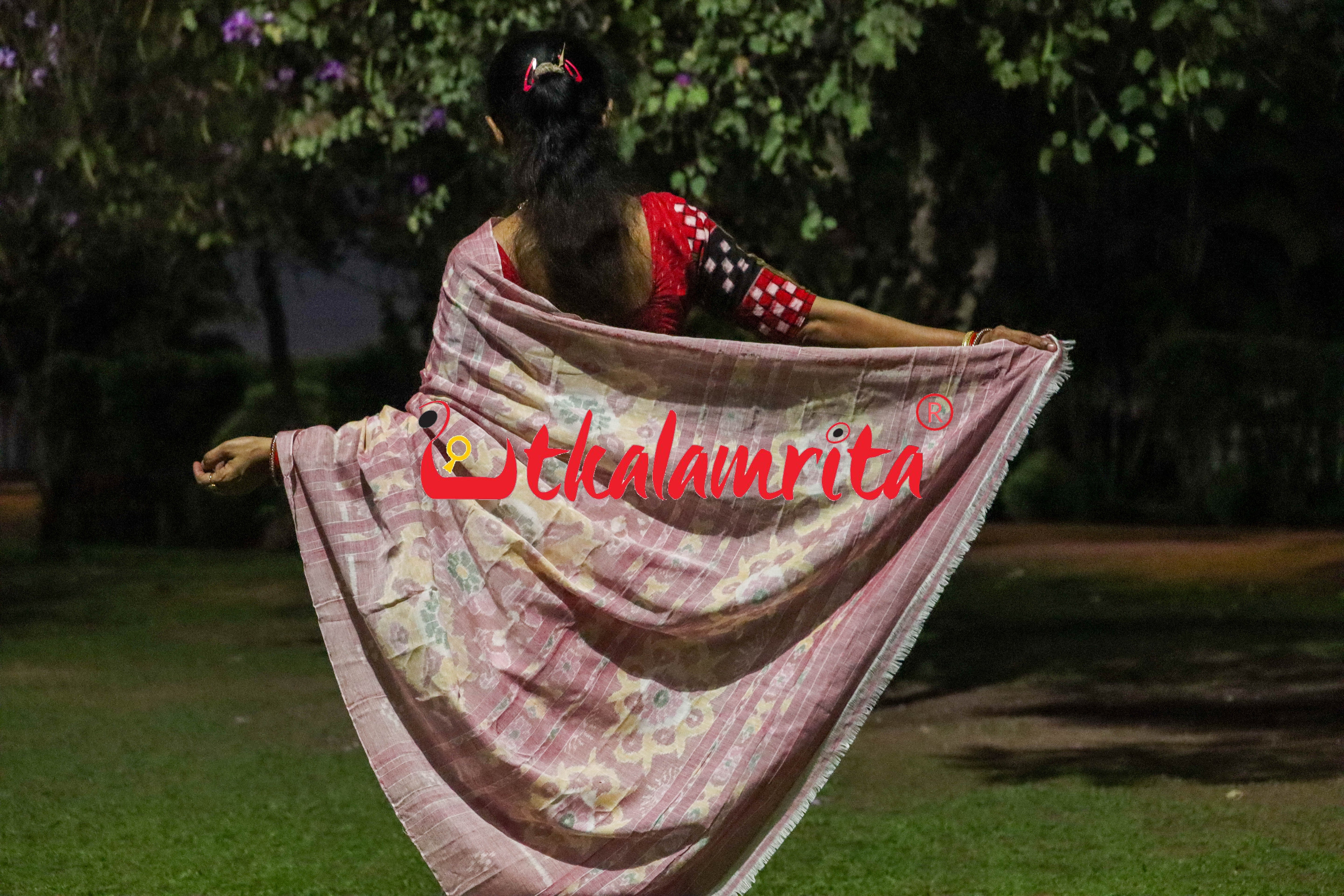 White Pink Dhanpatri Khandua Cotton Saree