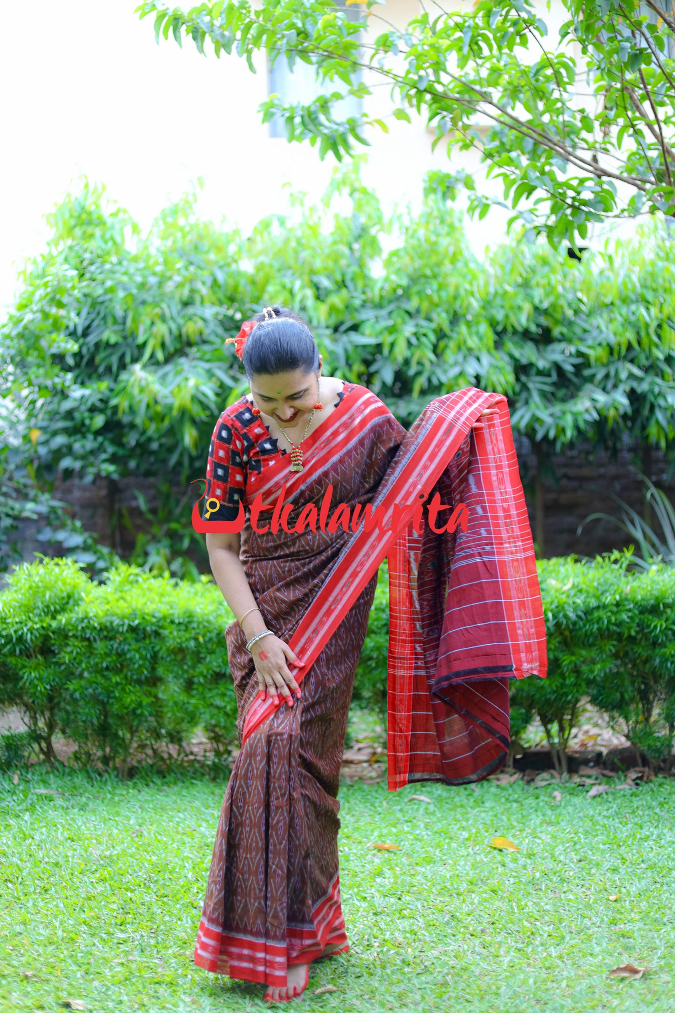 Golden Brown Red Tiny Flowers Saree