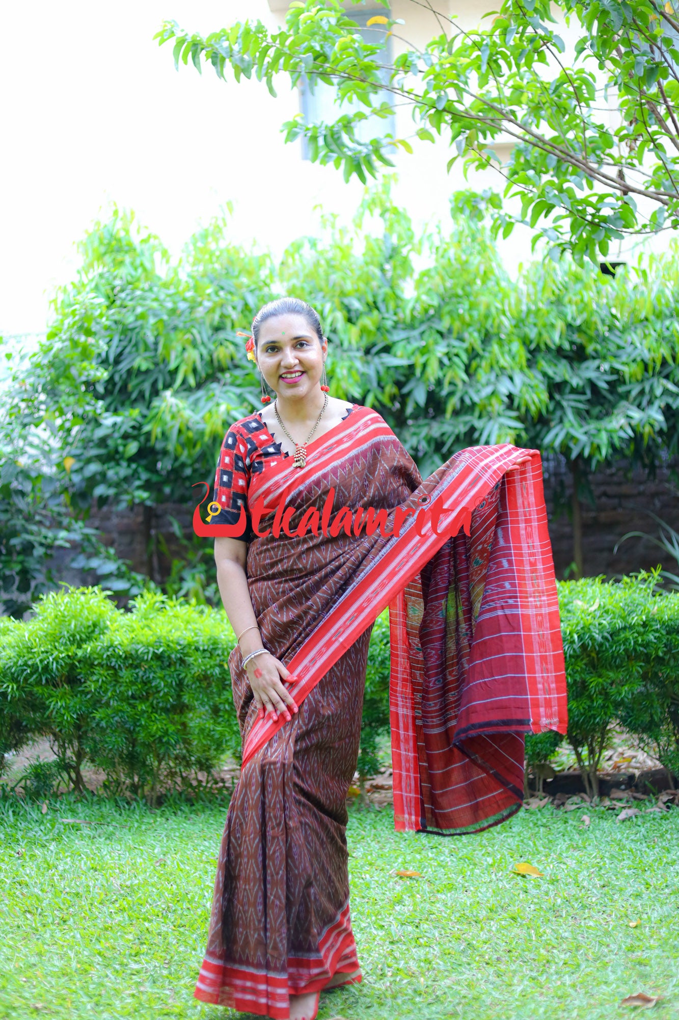 Golden Brown Red Tiny Flowers Saree