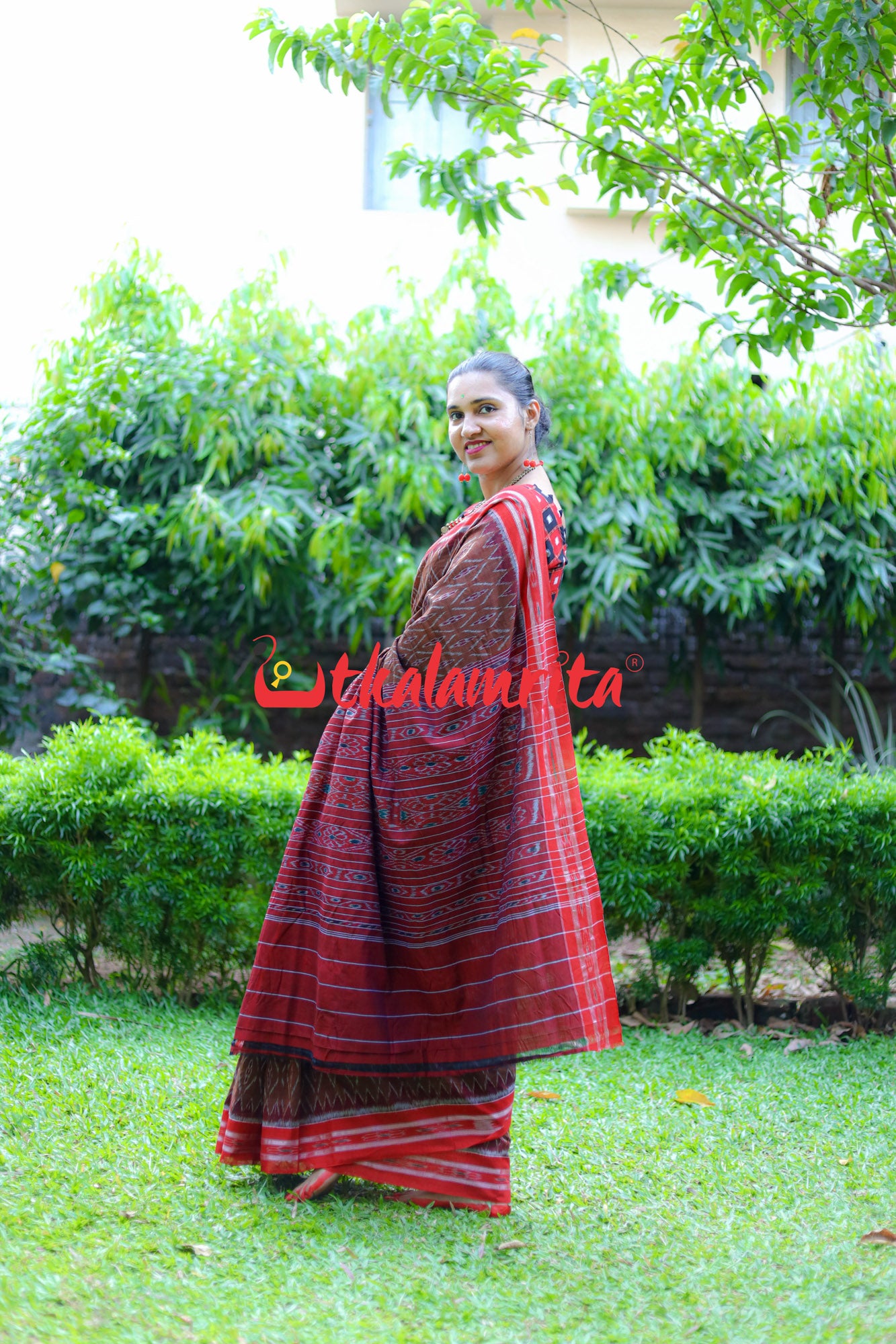 Golden Brown Red Tiny Flowers Saree