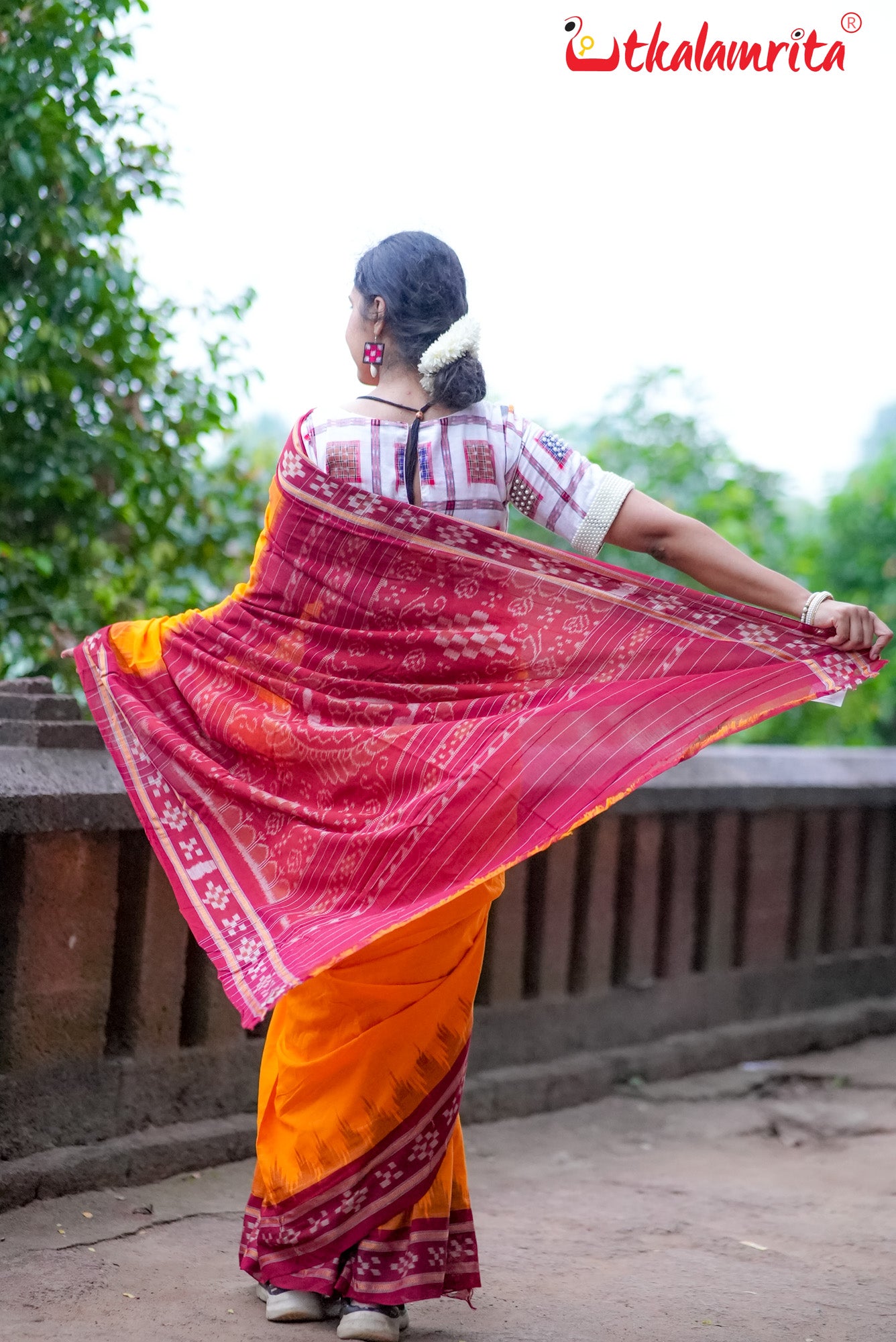 Yellow Pasapali Border Khandua Cotton Saree