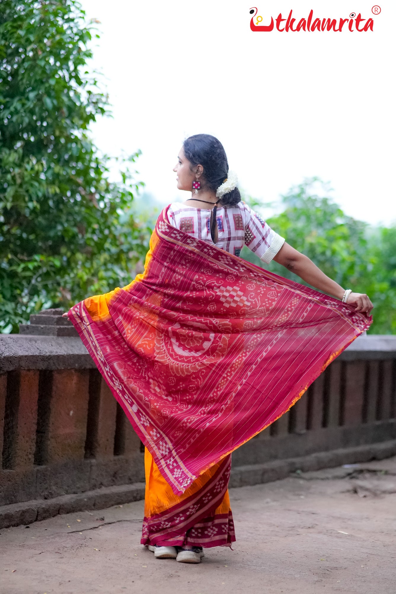 Yellow Pasapali Border Khandua Cotton Saree