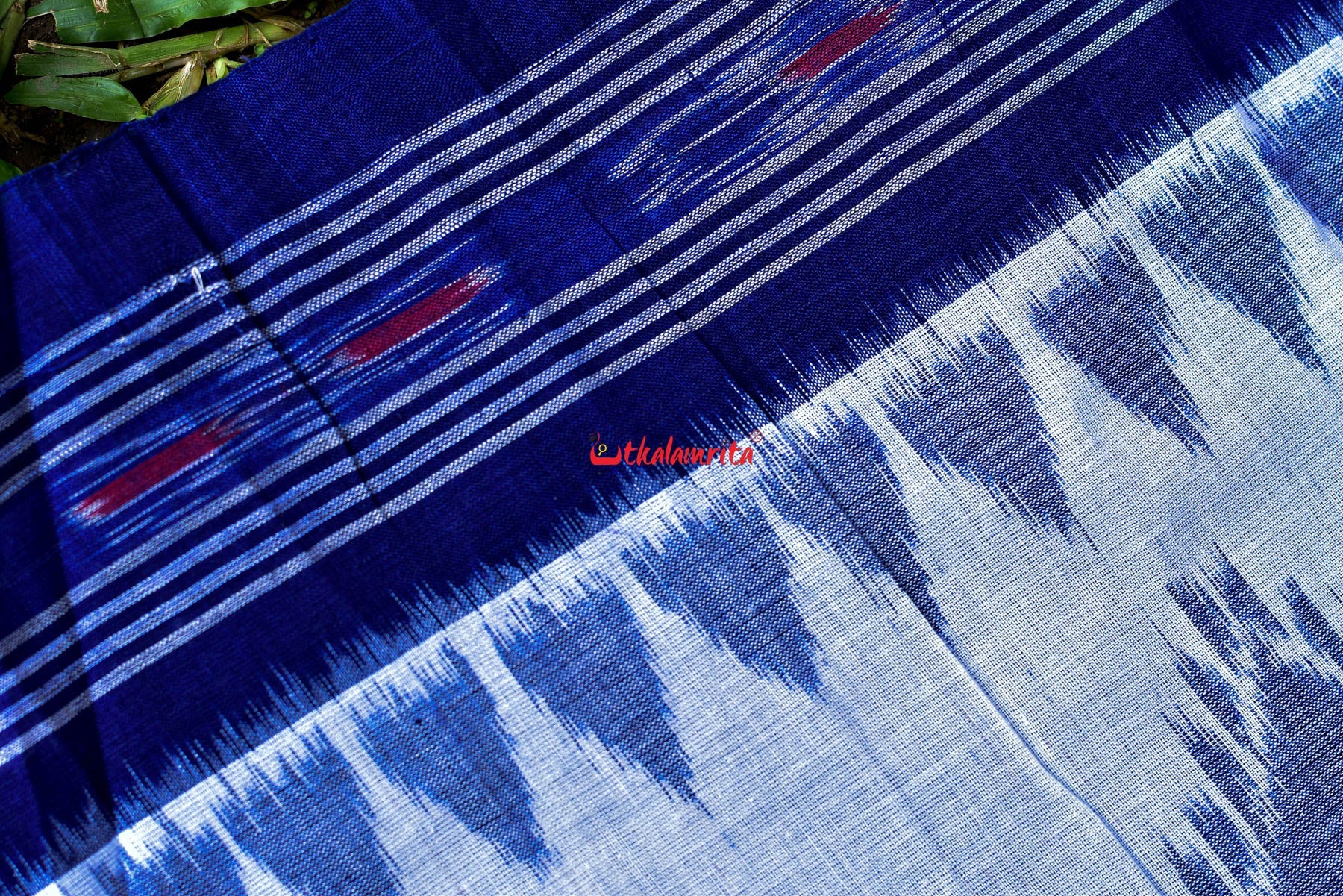 White Blue Bada Phula Cotton Saree
