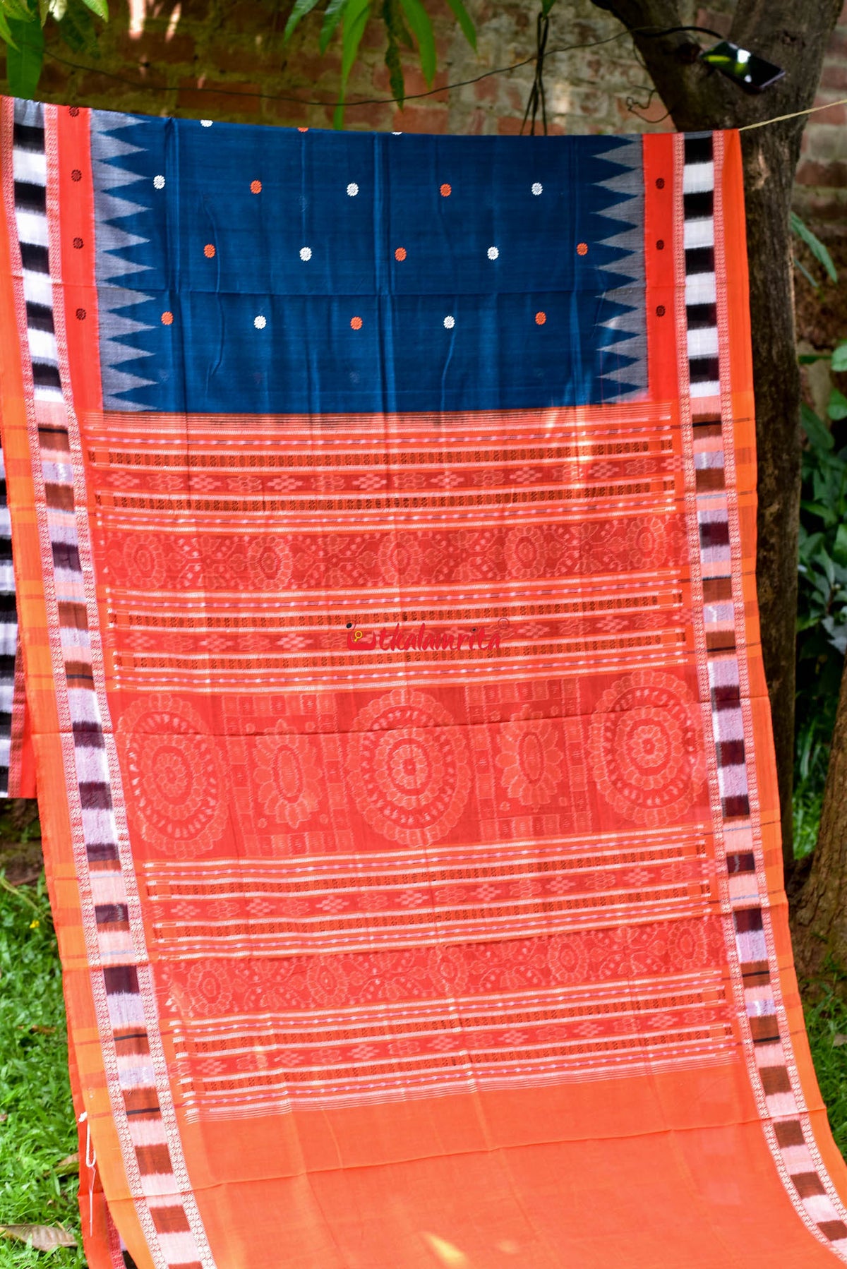 Teal with Pasapali Border Cotton Saree