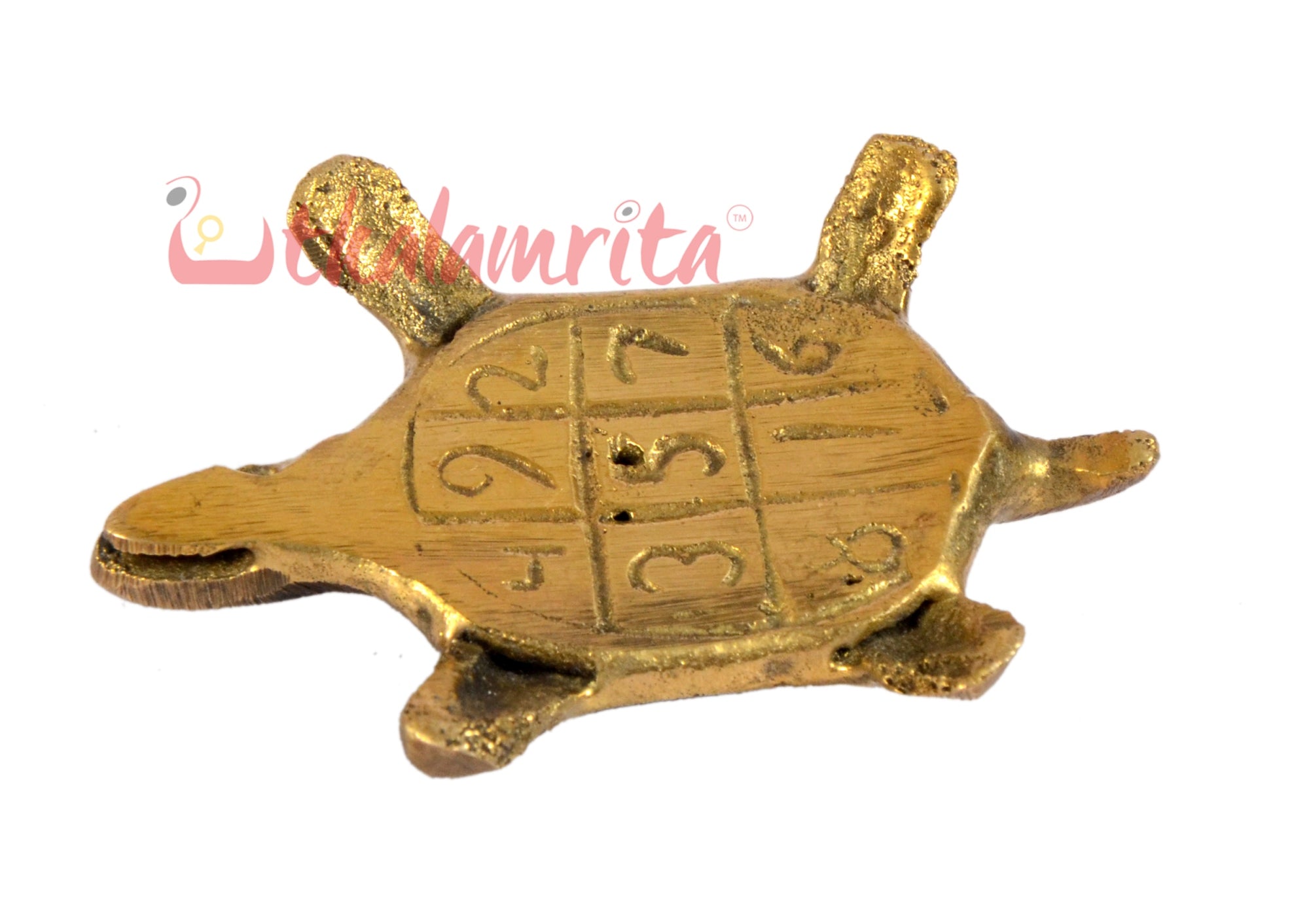 Big Block Turtle
