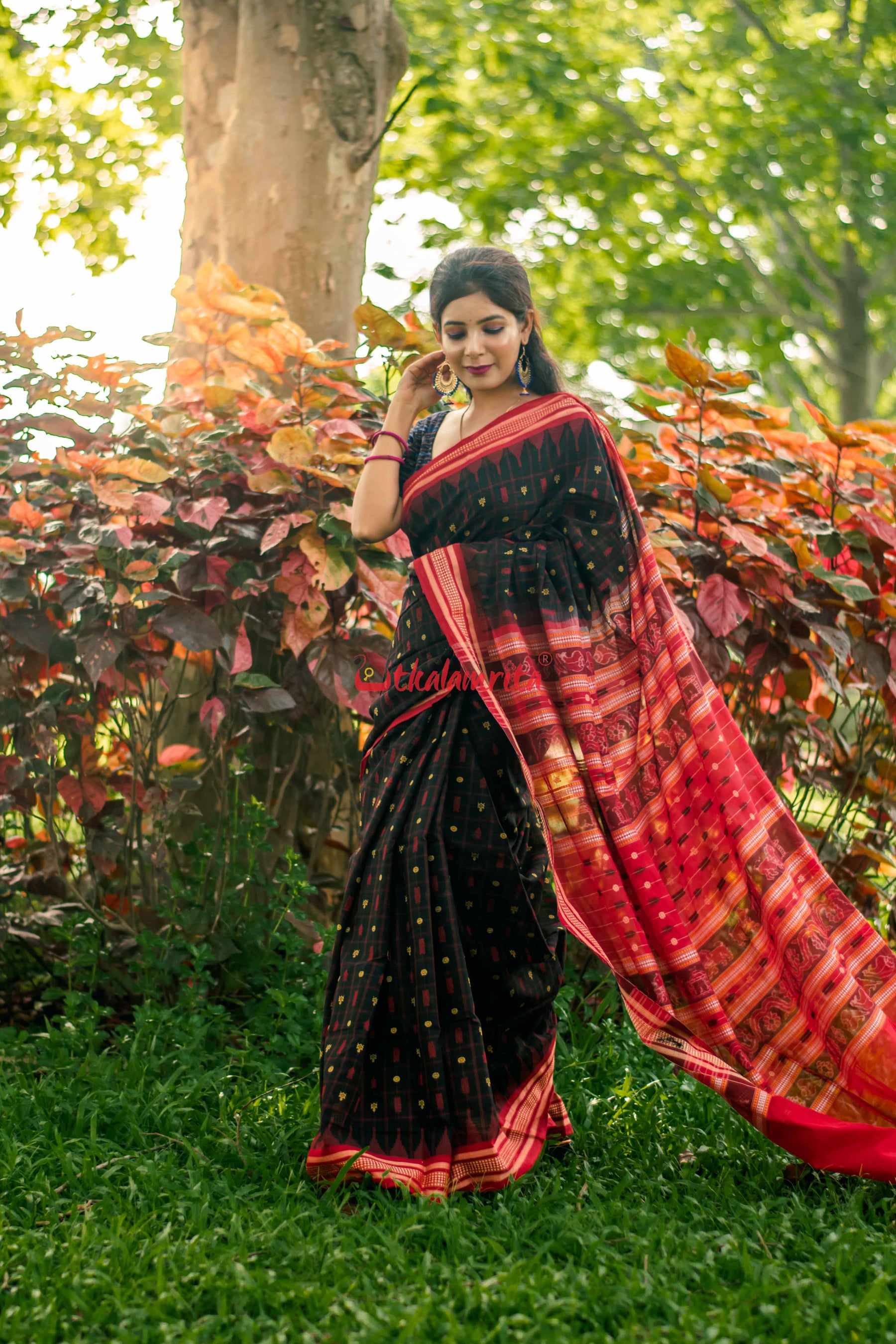 Black Red Hazar Buti Cotton Saree