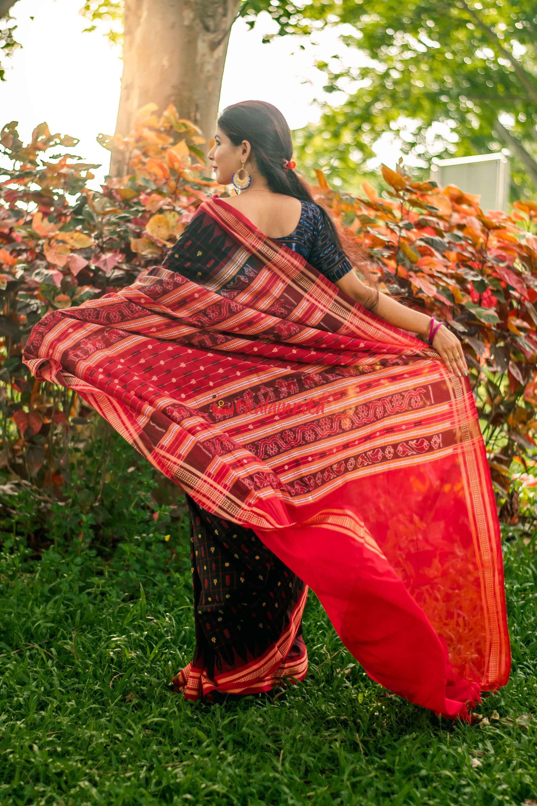 Black Red Hazar Buti Cotton Saree