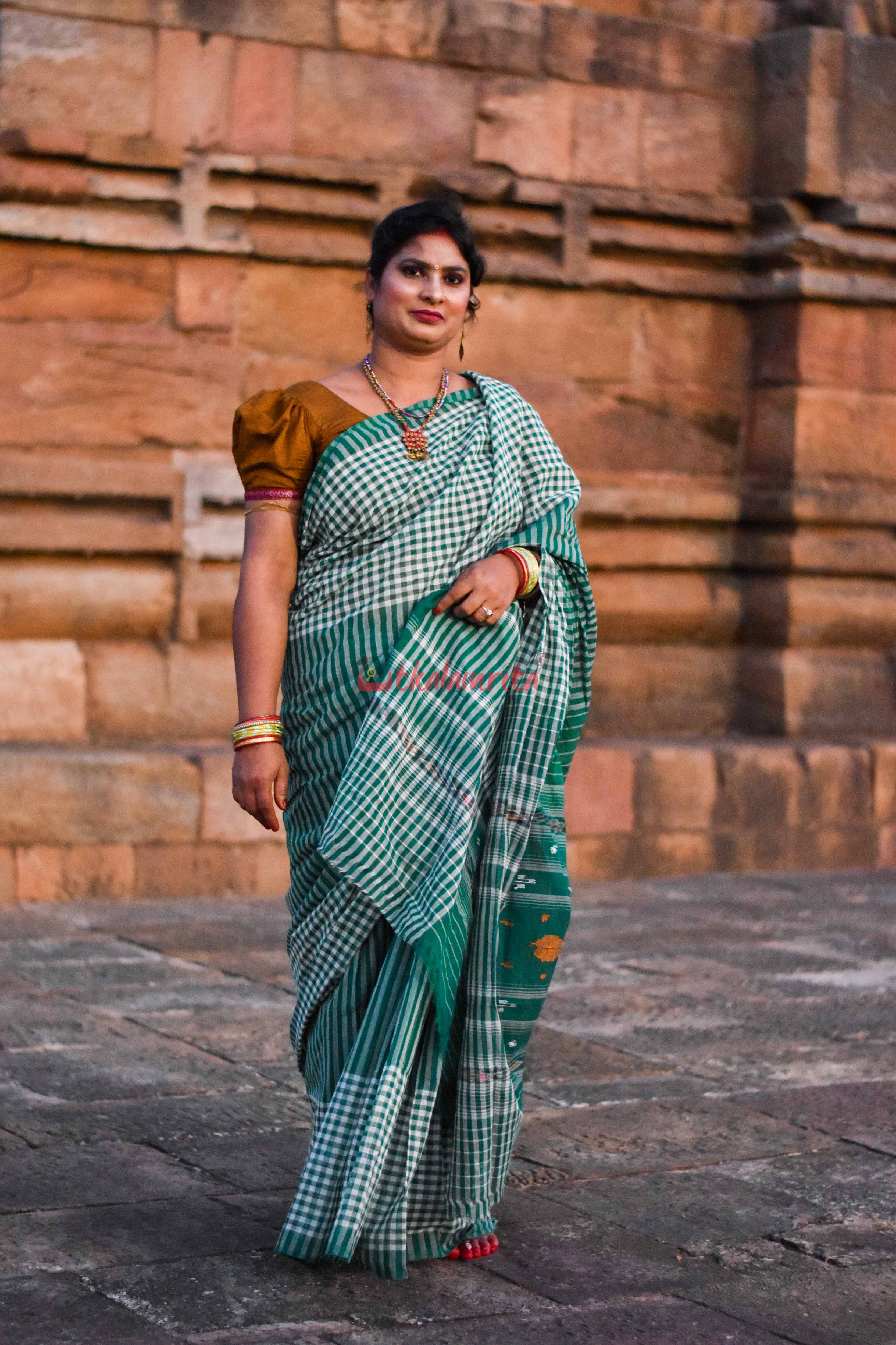 Eco-Friendly Check Check Saree