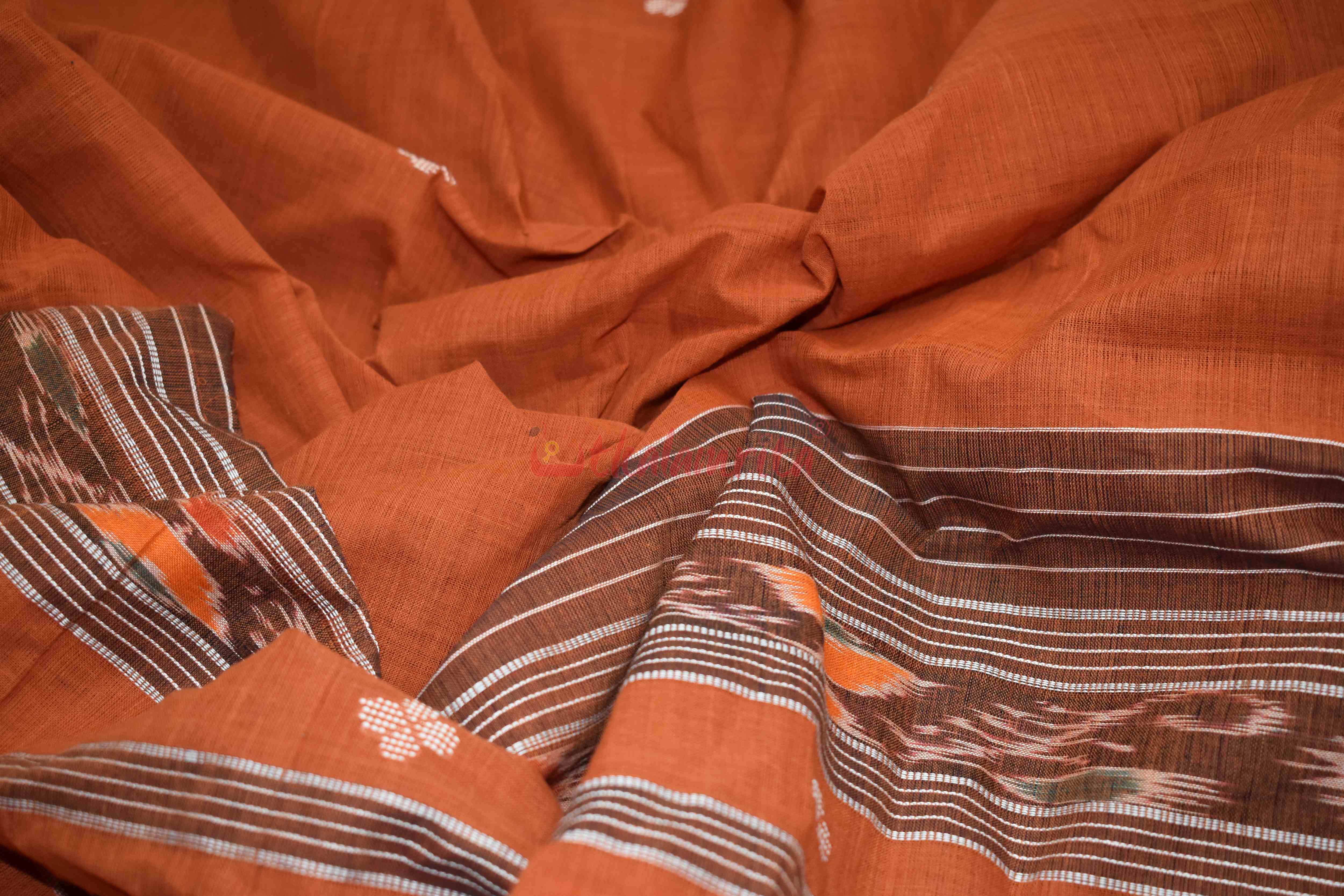 Brown Bandha Border Sutaluga