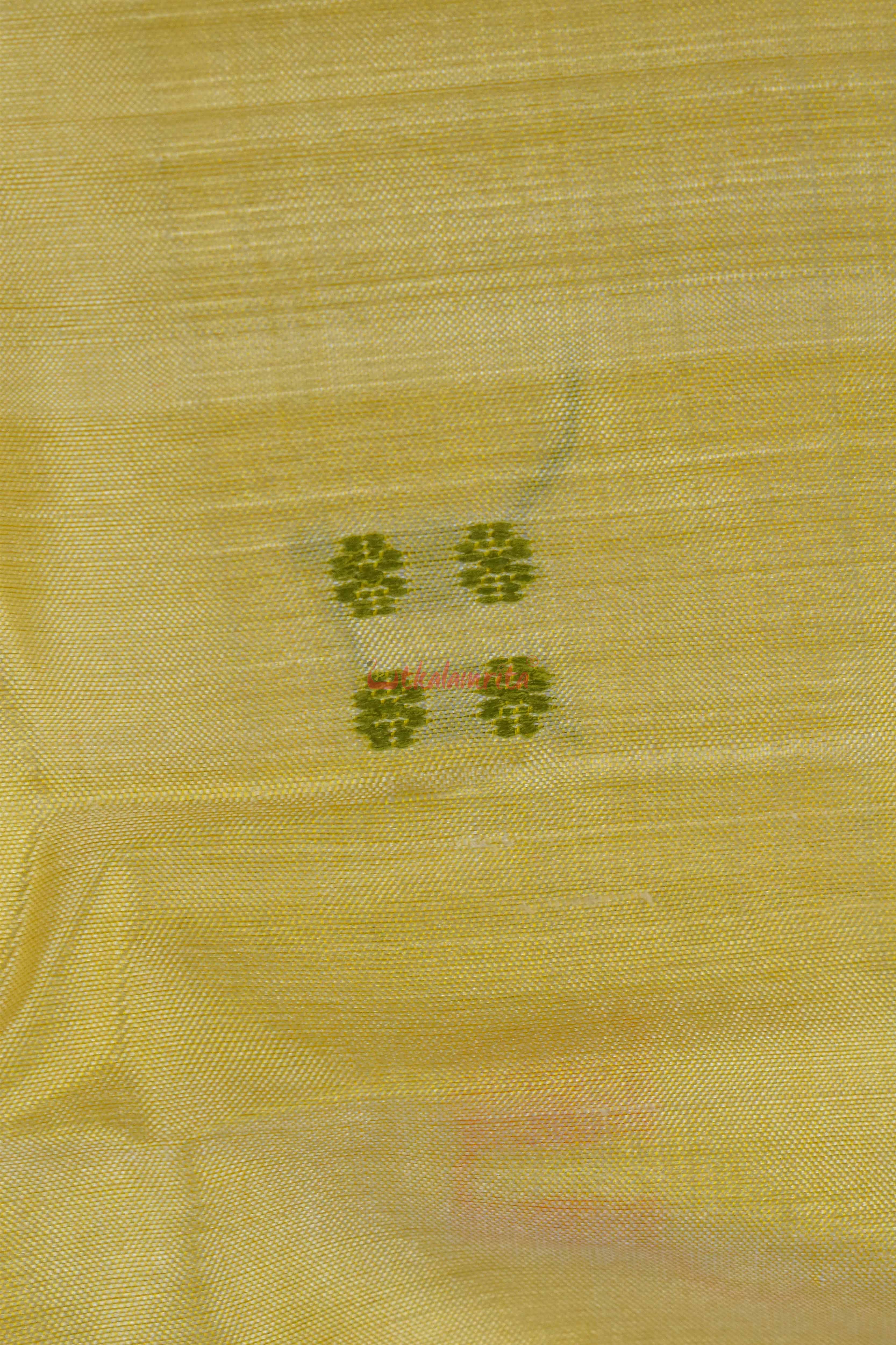 Ghee Kathifera Triple Border Khandua Silk