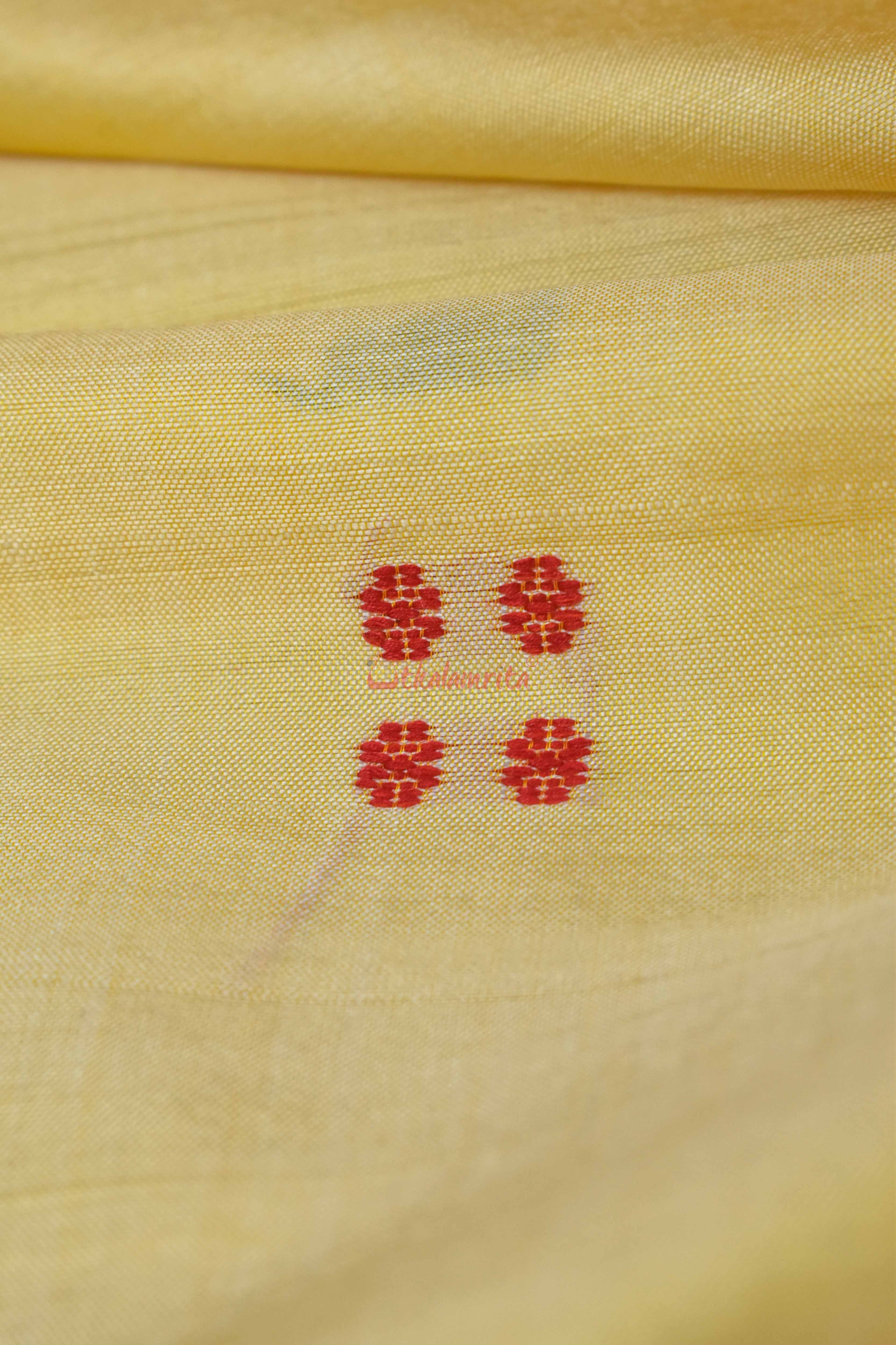 Ghee Kathifera Triple Border Khandua Silk