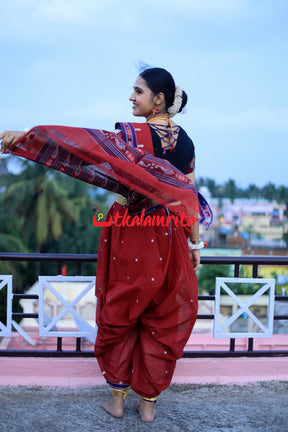 Damayanti Pittala Cotton Saree
